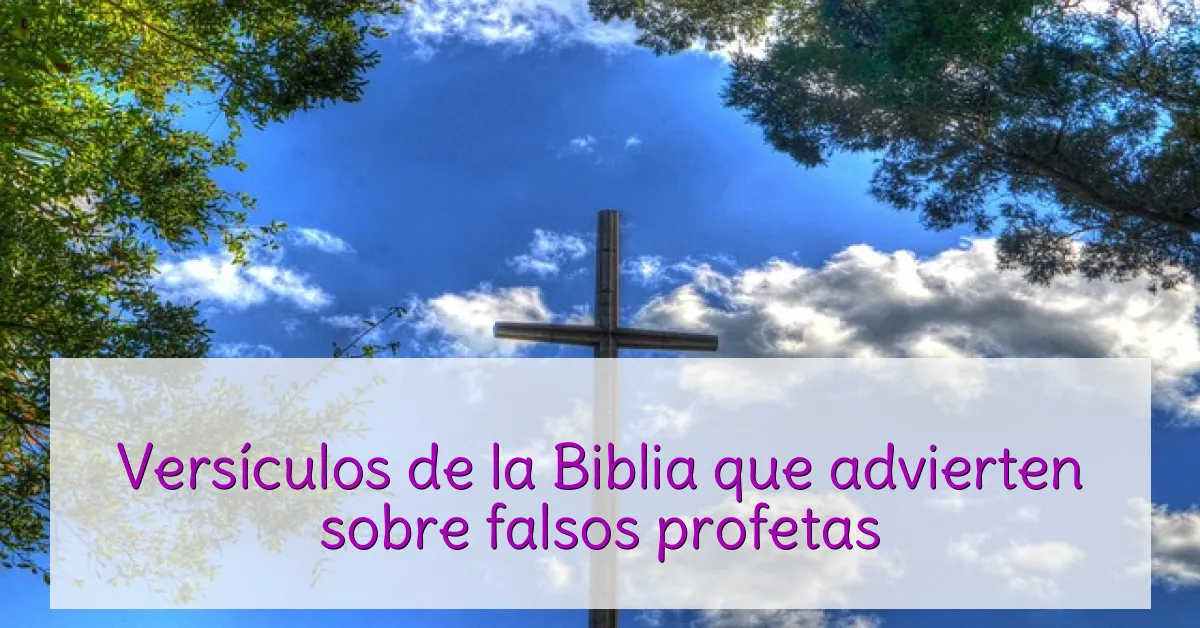 Versículos de la Biblia que advierten sobre falsos profetas
