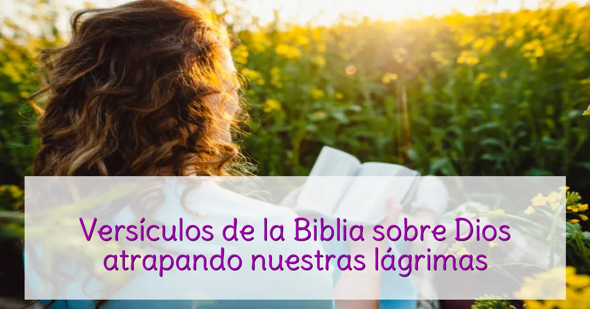 Versículos de la Biblia sobre Dios atrapando nuestras lágrimas