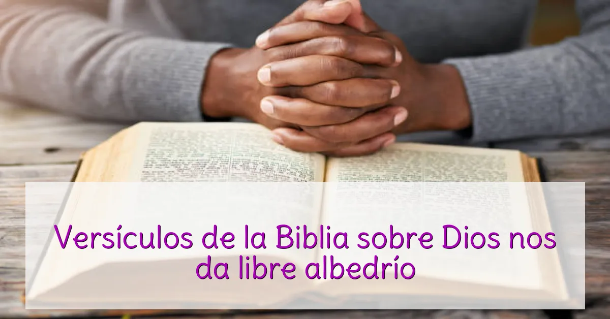 Versículos de la Biblia sobre Dios nos da libre albedrío