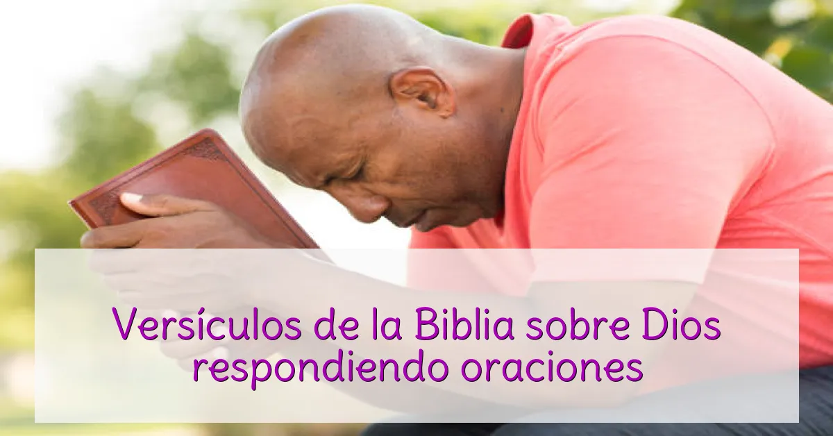 Versículos de la Biblia sobre Dios respondiendo oraciones