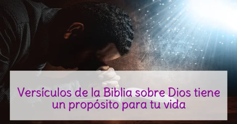 Versículos de la Biblia sobre Dios tiene un propósito para tu vida
