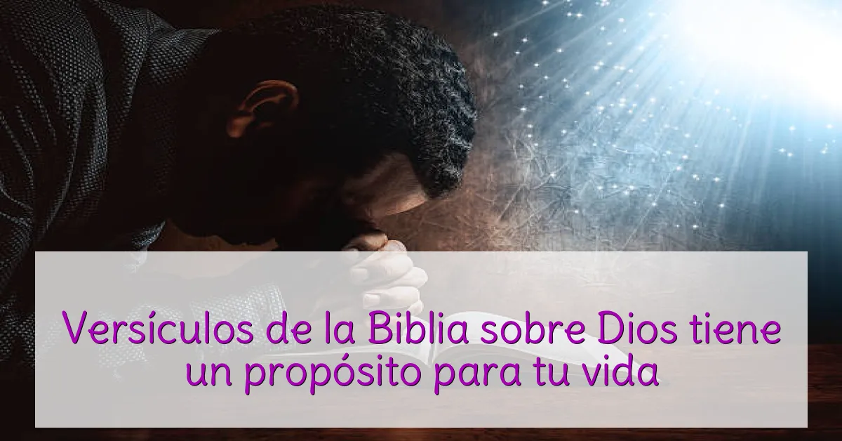 Versículos de la Biblia sobre Dios tiene un propósito para tu vida