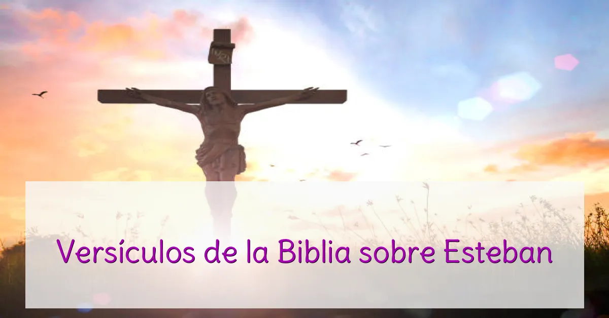 Versículos de la Biblia sobre Esteban