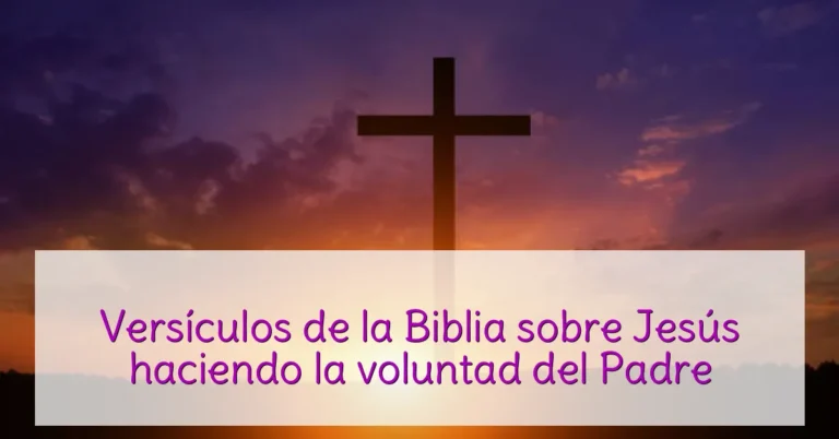 Versículos de la Biblia sobre Jesús haciendo la voluntad del Padre