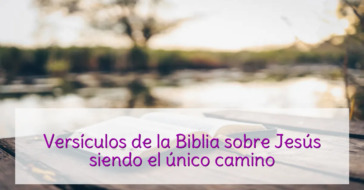 Versículos de la Biblia sobre Jesús siendo el único camino