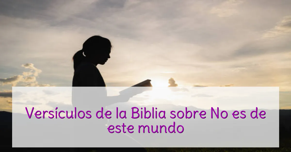 Versículos de la Biblia sobre No es de este mundo