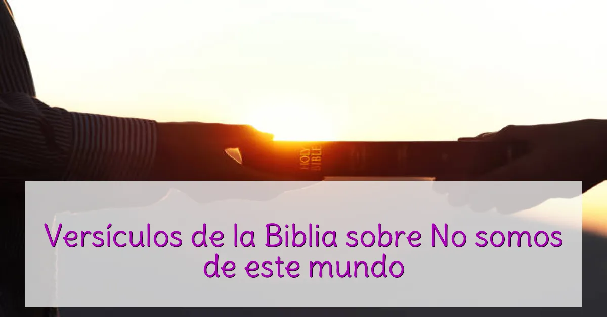 Versículos de la Biblia sobre No somos de este mundo
