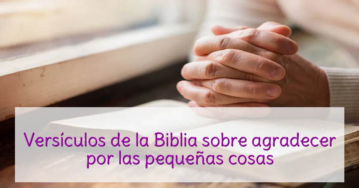 Versículos de la Biblia sobre agradecer por las pequeñas cosas