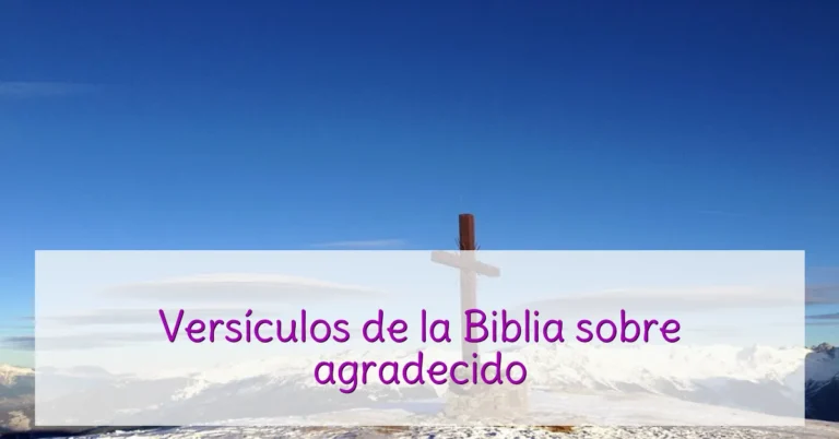 Versículos de la Biblia sobre agradecido