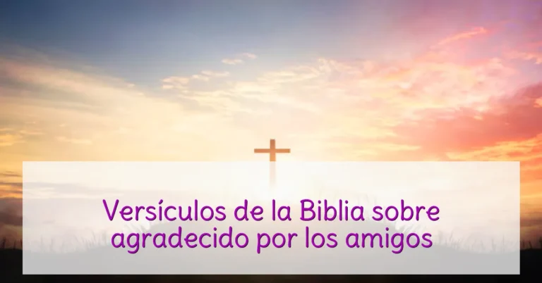 Versículos de la Biblia sobre agradecido por los amigos