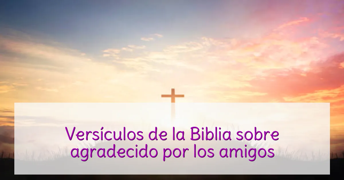 Versículos de la Biblia sobre agradecido por los amigos