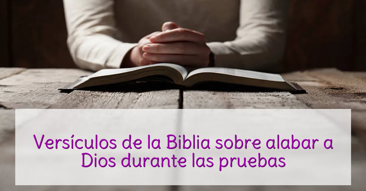 Versículos de la Biblia sobre alabar a Dios durante las pruebas