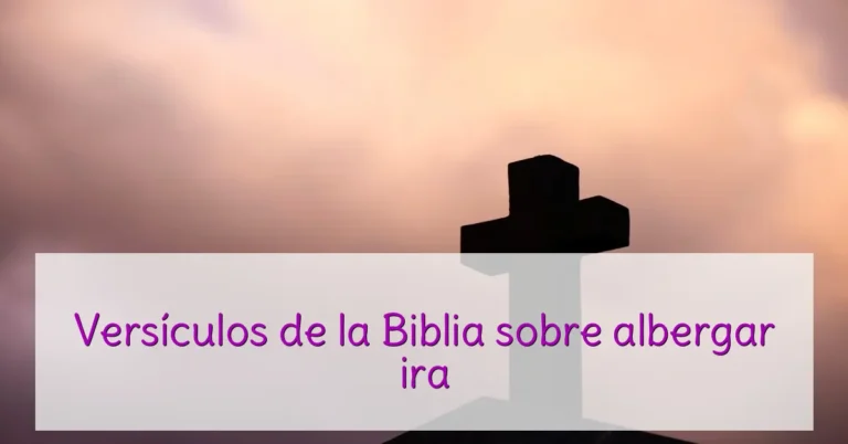 Versículos de la Biblia sobre albergar ira