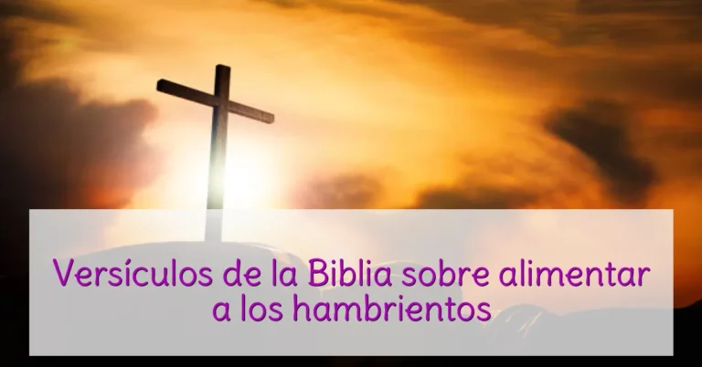 Versículos de la Biblia sobre alimentar a los hambrientos