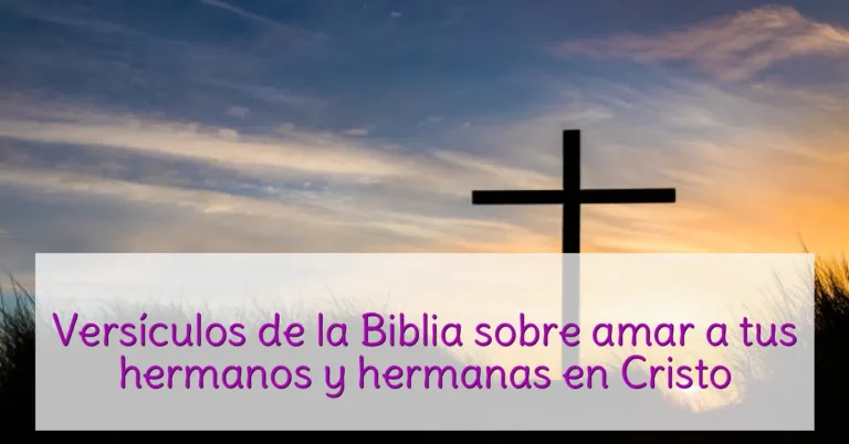 Versículos de la Biblia sobre amar a tus hermanos y hermanas en Cristo