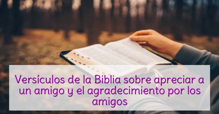 Versículos de la Biblia sobre apreciar a un amigo y el agradecimiento por los amigos