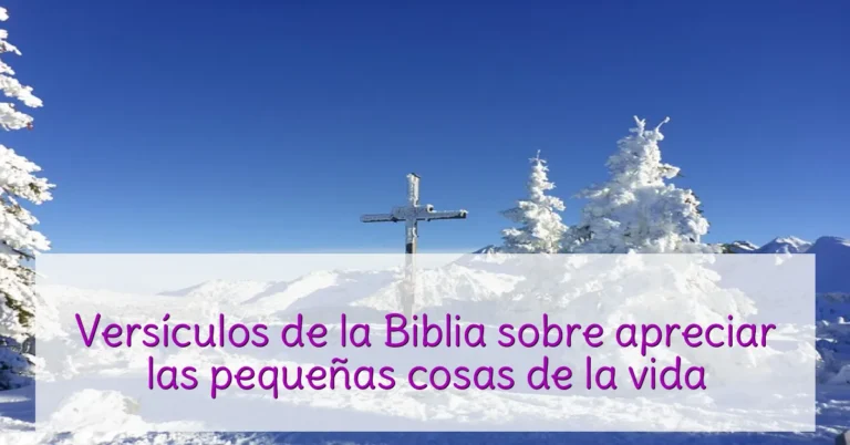 Versículos de la Biblia sobre apreciar las pequeñas cosas de la vida