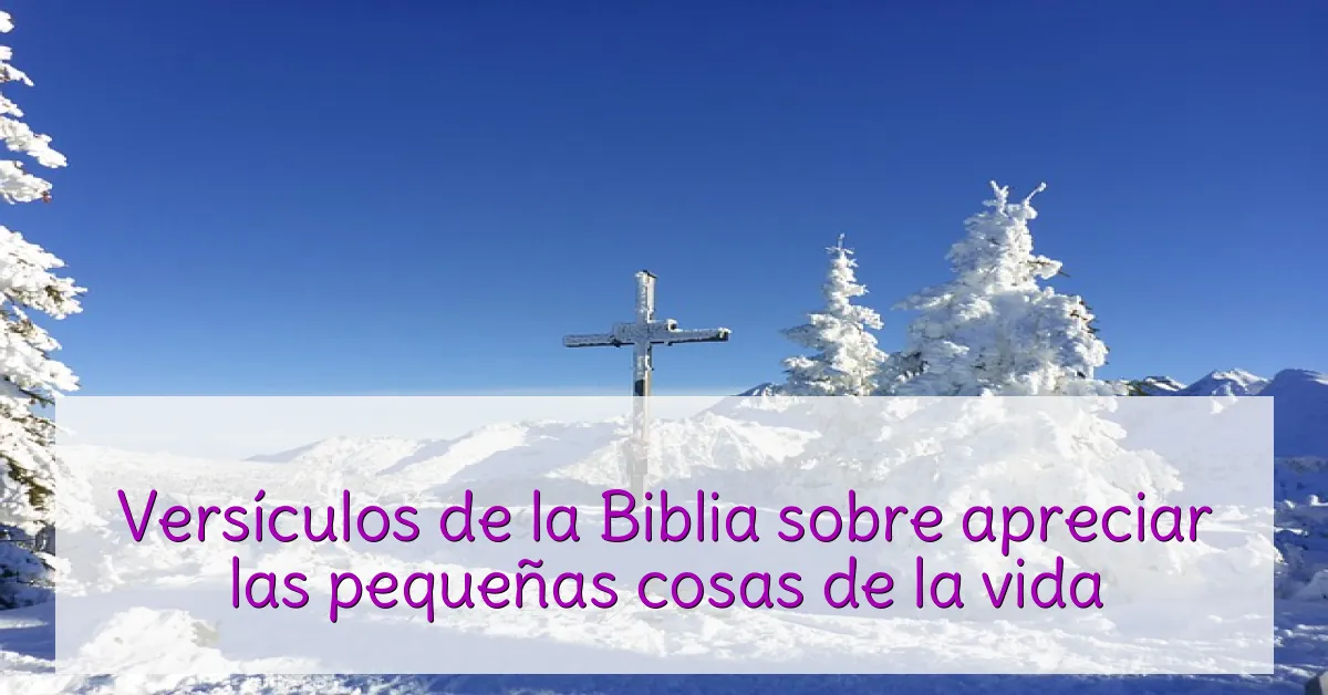 Versículos de la Biblia sobre apreciar las pequeñas cosas de la vida