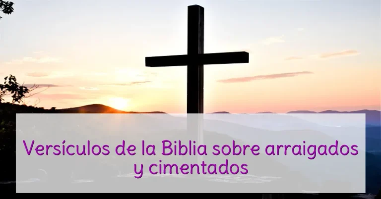Versículos de la Biblia sobre arraigados y cimentados