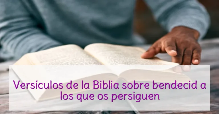 Versículos de la Biblia sobre bendecid a los que os persiguen