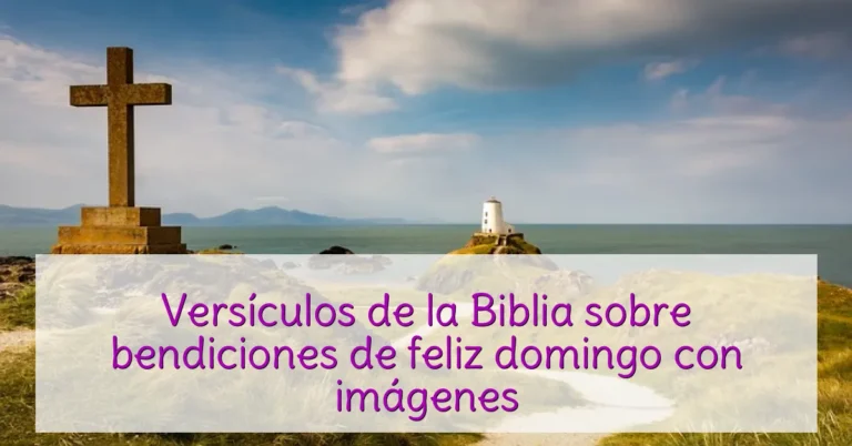 Versículos de la Biblia sobre bendiciones de feliz domingo con imágenes