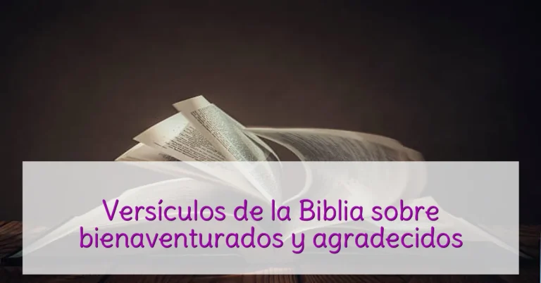 Versículos de la Biblia sobre bienaventurados y agradecidos