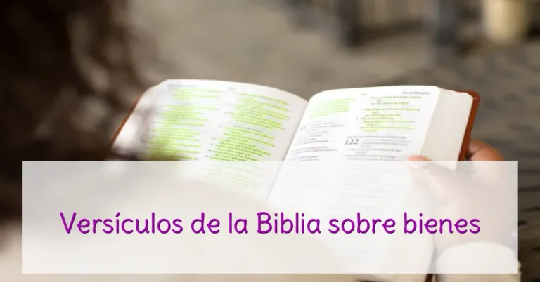 Versículos de la Biblia sobre bienes