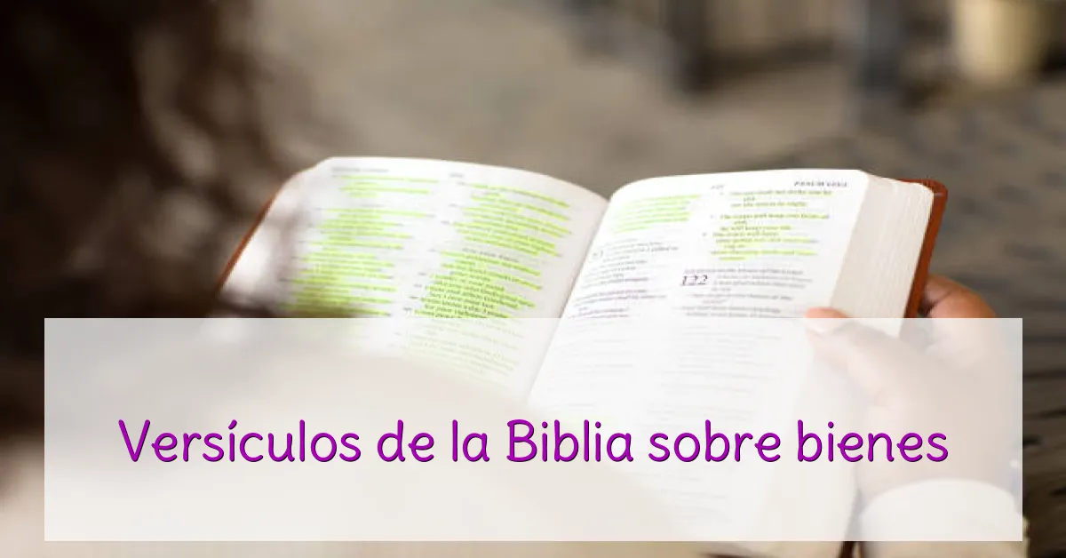 Versículos de la Biblia sobre bienes