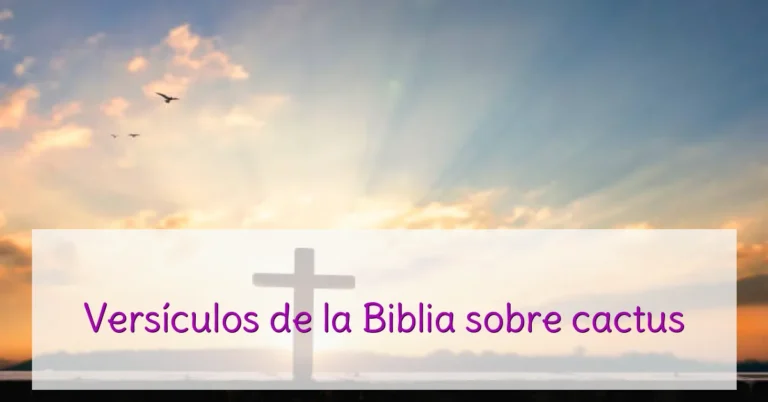 Versículos de la Biblia sobre cactus