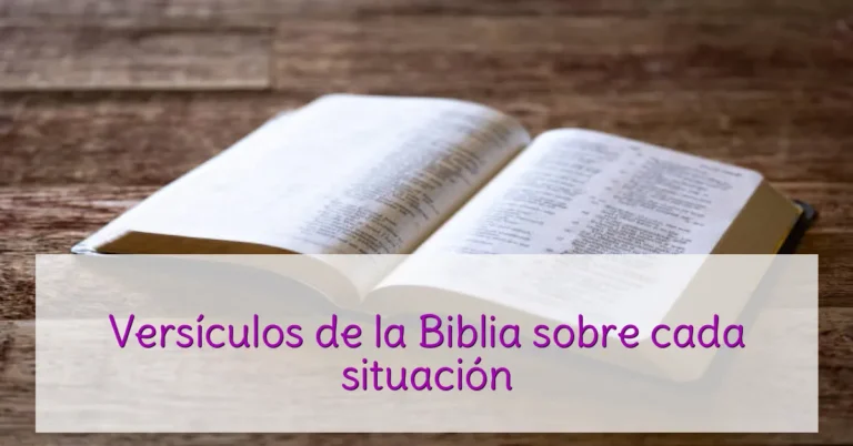 Versículos de la Biblia sobre cada situación