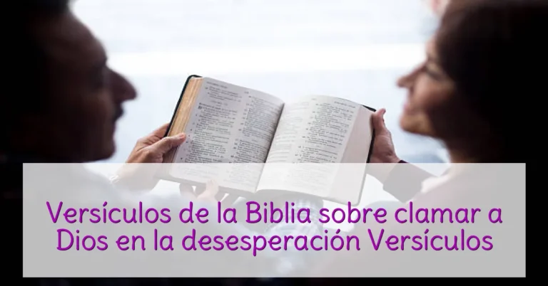 Versículos de la Biblia sobre clamar a Dios en la desesperación Versículos