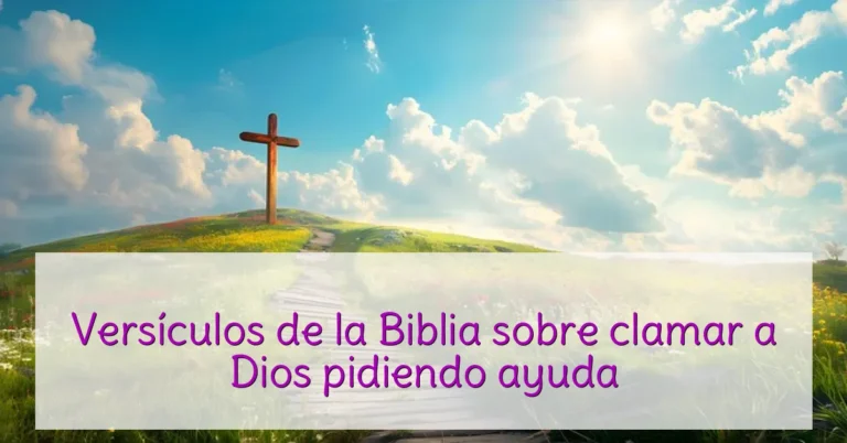Versículos de la Biblia sobre clamar a Dios pidiendo ayuda