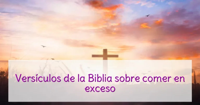 Versículos de la Biblia sobre comer en exceso