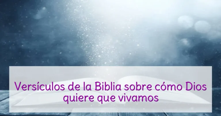 Versículos de la Biblia sobre cómo Dios quiere que vivamos