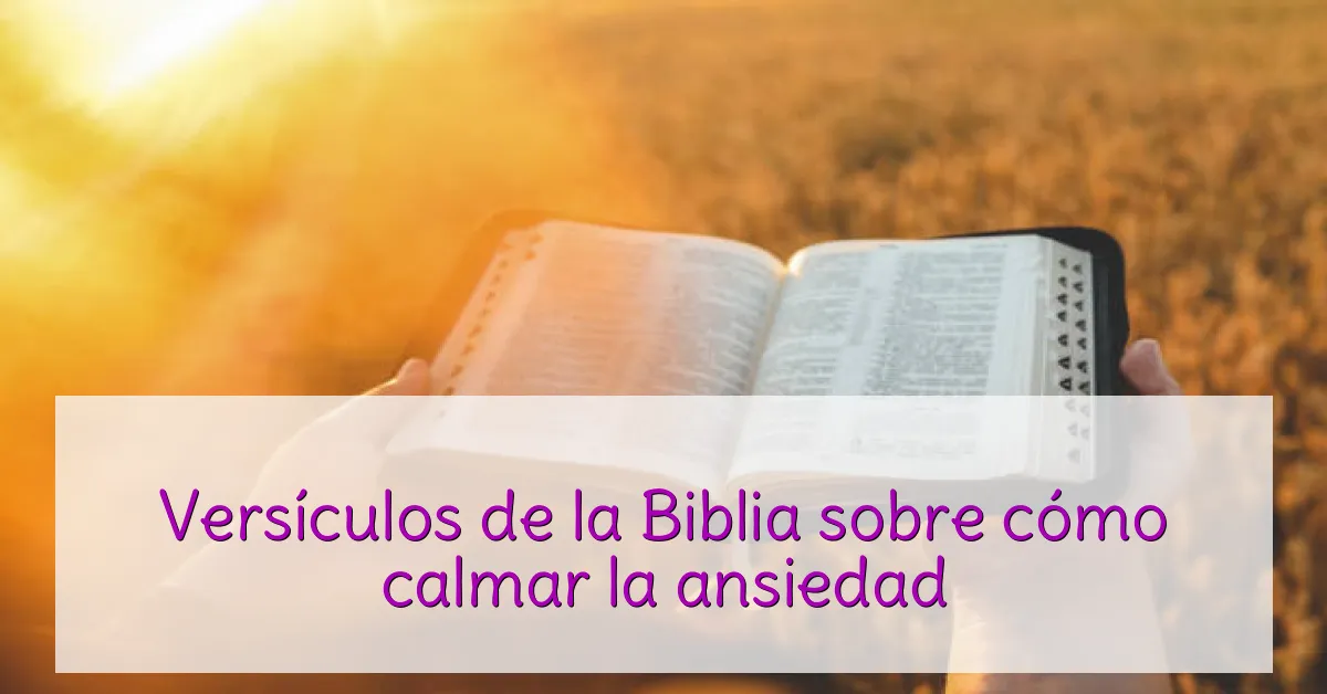 Versículos de la Biblia sobre cómo calmar la ansiedad