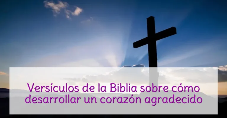 Versículos de la Biblia sobre cómo desarrollar un corazón agradecido