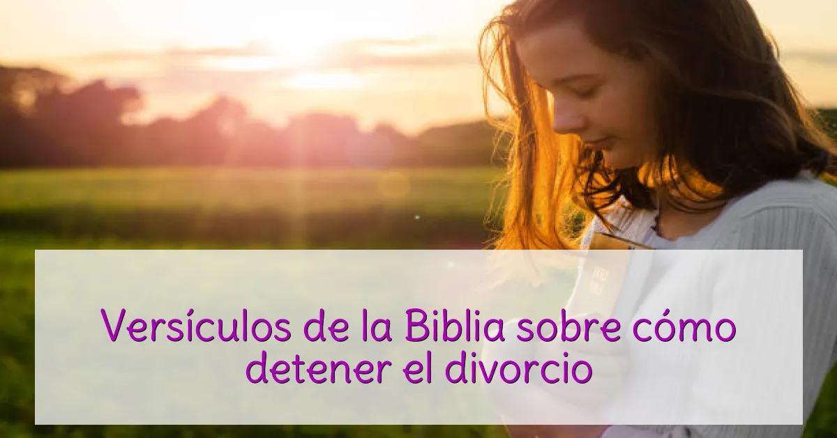 Versículos de la Biblia sobre cómo detener el divorcio