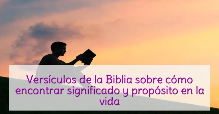 Versículos de la Biblia sobre cómo encontrar significado y propósito en la vida