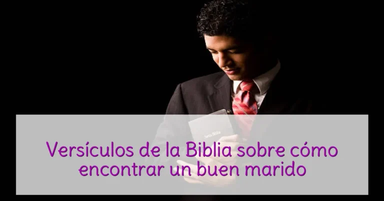 Versículos de la Biblia sobre cómo encontrar un buen marido