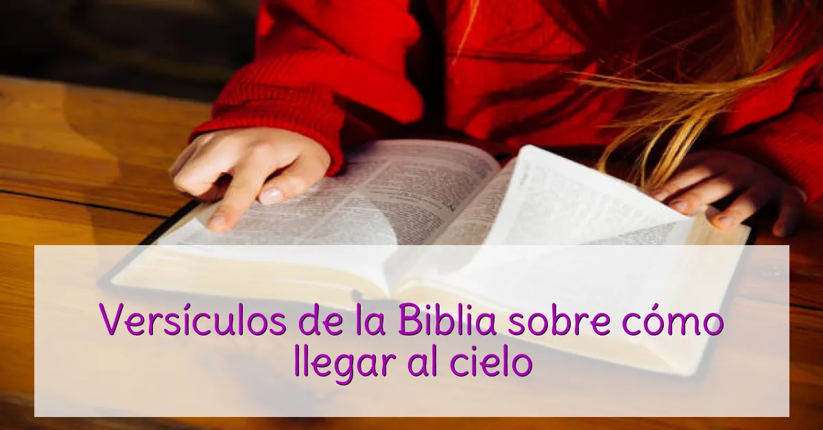 Versículos de la Biblia sobre cómo llegar al cielo