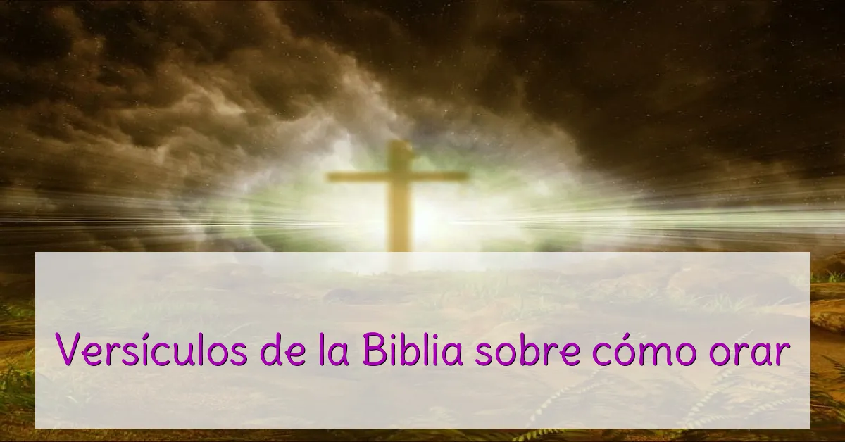 Versículos de la Biblia sobre cómo orar