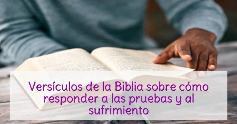 Versículos de la Biblia sobre cómo responder a las pruebas y al sufrimiento