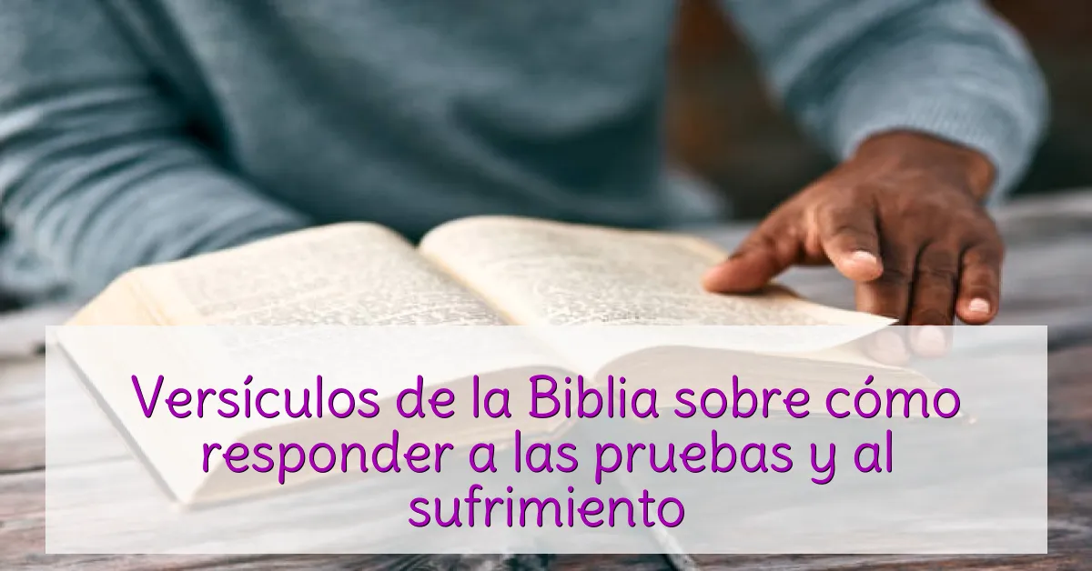 Versículos de la Biblia sobre cómo responder a las pruebas y al sufrimiento