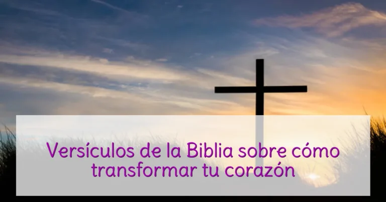 Versículos de la Biblia sobre cómo transformar tu corazón