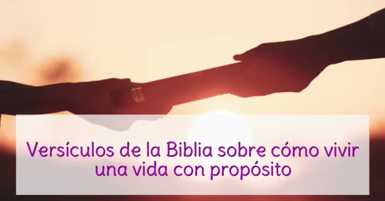 Versículos de la Biblia sobre cómo vivir una vida con propósito