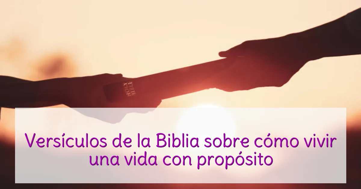 Versículos de la Biblia sobre cómo vivir una vida con propósito