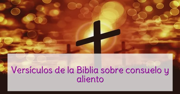 Versículos de la Biblia sobre consuelo y aliento