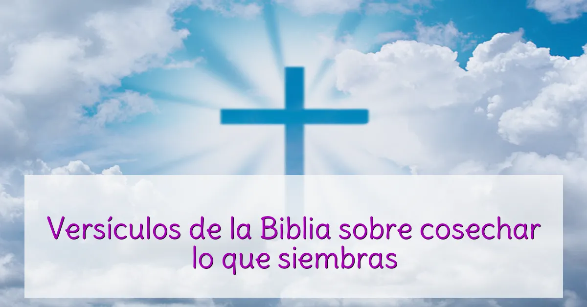 Versículos de la Biblia sobre cosechar lo que siembras