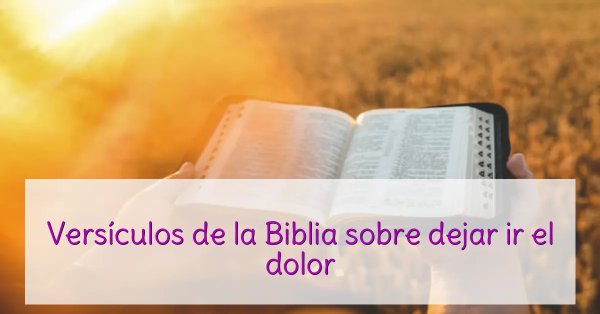 Versículos de la Biblia sobre dejar ir el dolor