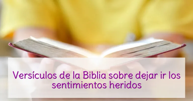Versículos de la Biblia sobre dejar ir los sentimientos heridos